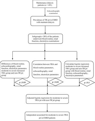 The Prevalence and Independent Risk Factors of Significant Tricuspid Regurgitation Jets in Maintenance Hemodialysis Patients With ESRD